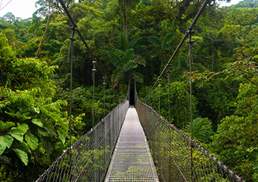 Costa Rica Suspension Bridge