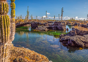 Galapagos Lava Fields