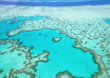 Great Barrier Reef Australia