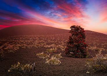 Hawaii Volcanoes National Park