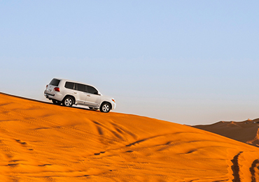 Middle East Cruises Desert Safari