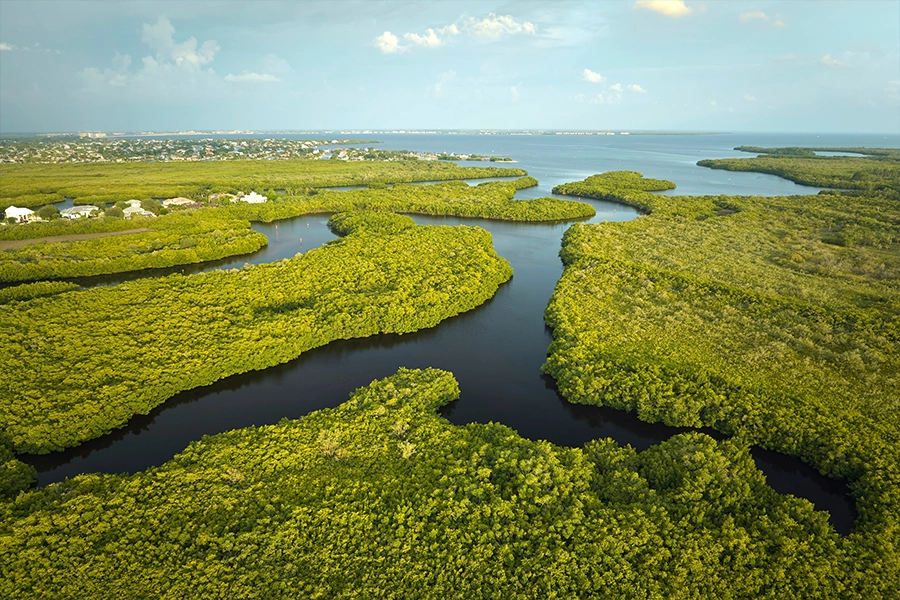 everglades national park miami cruises