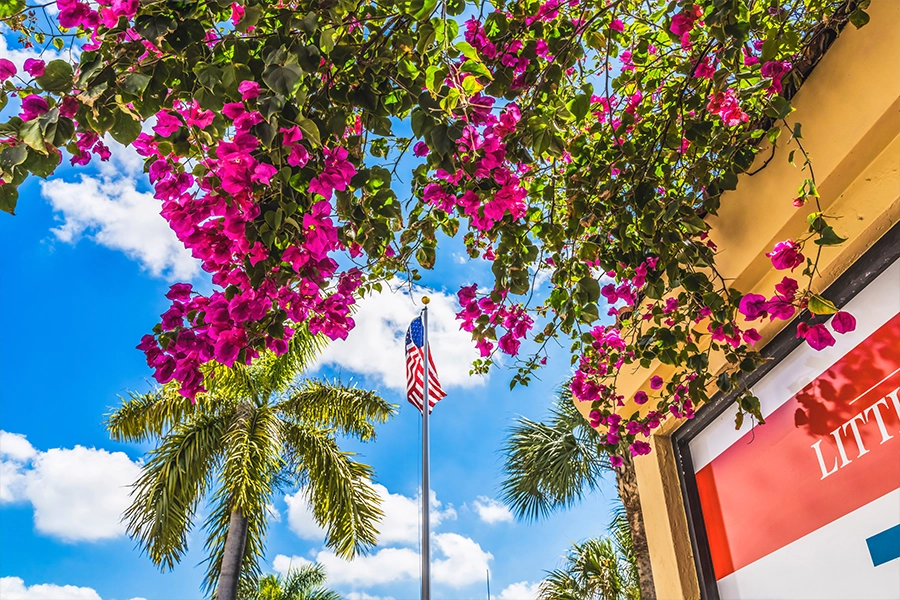 little havana miami cruises